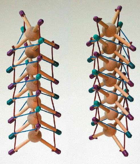 File:Spines models 05-TVM-3.2, 05-SVM-3.1, 05-TS-1.1 Tetrahedral Vertebral masts Spines models by Flemons.JPG